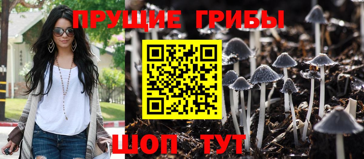 Галлюциногенные грибы мицелий Санкт-Петербург