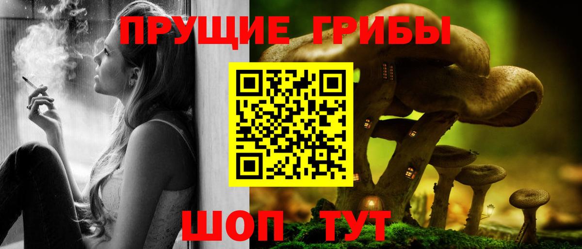 цены наркотик  Галлюциногенные грибы GOLDEN TEACHER  Вход с VPN  Санкт-Петербург 